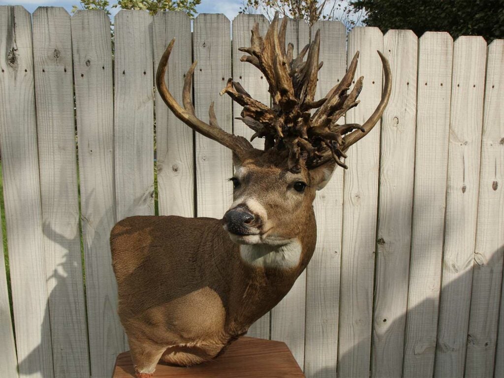 The Biggest Buck You’ve Never Heard Of