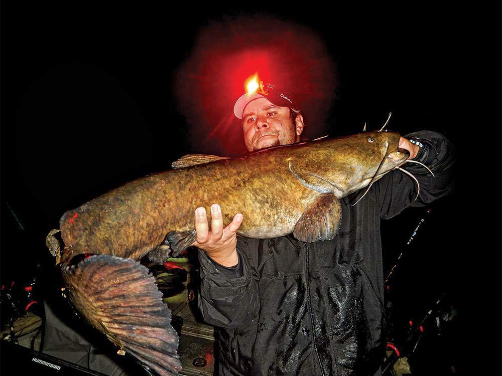 Scaredy Cats: How to Catch Giant Flathead Catfish in the Fall