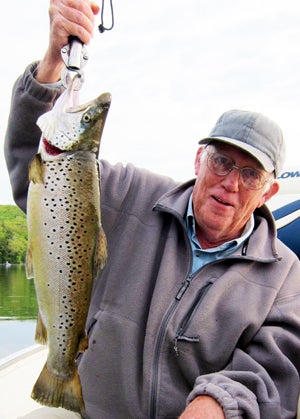 How to Free-Line Live-Bait Minnows to Catch Shy Brown Trout