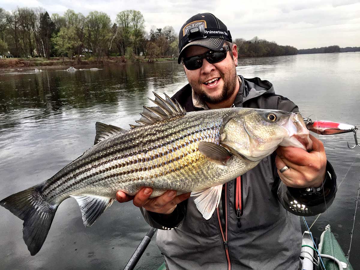 Three Easy Ways to Catch More Striped Bass In Rivers