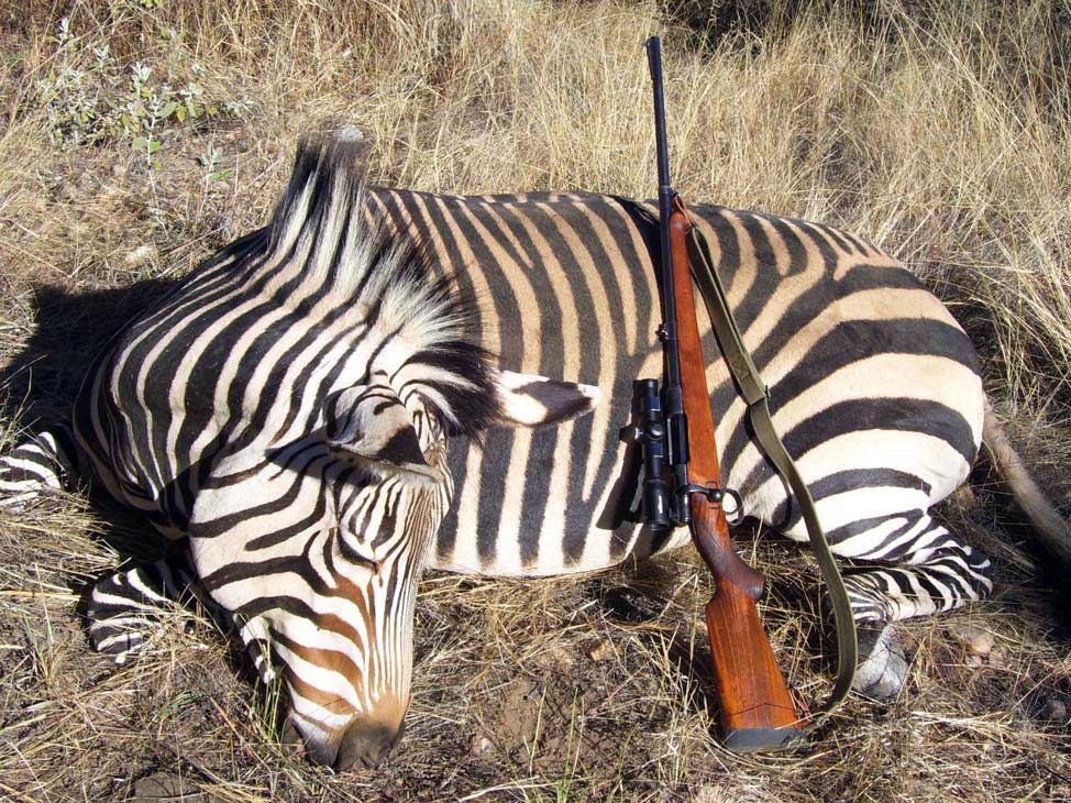 husqvarna rifles in africa