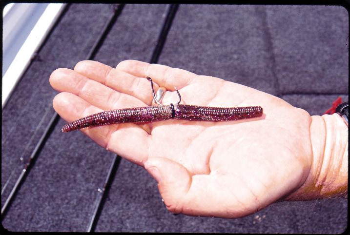 7 Proven Ways to Rig Straight-Tail Worms for Bass 