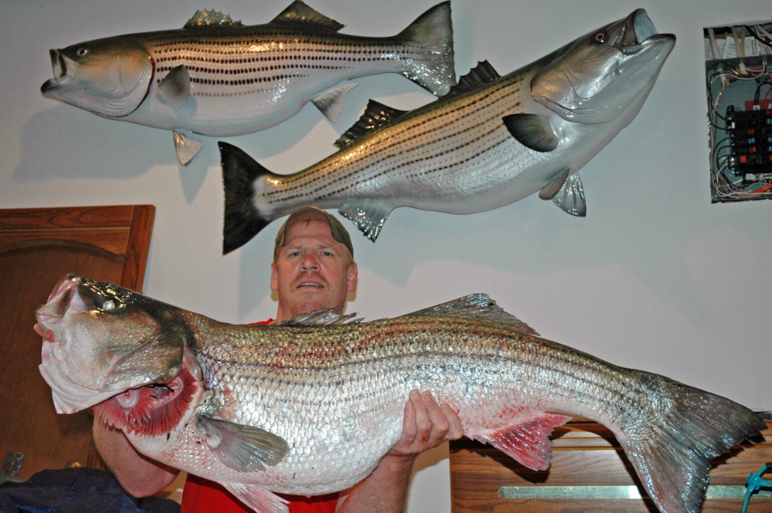 Exclusive Photos The World Record Striped Bass Field And Stream
