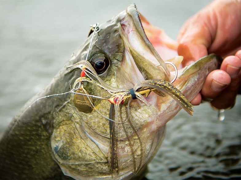 How To Make A Spinnerbait fishing lure 
