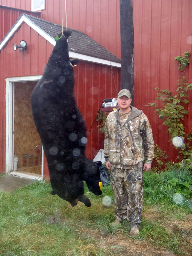 Maine State Record Black Bear: U.S. Veteran Tags 699-Pound Bruin