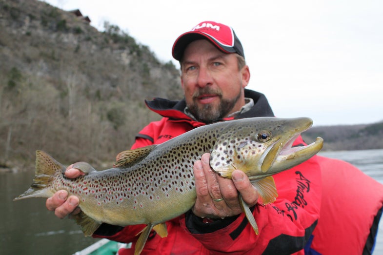 When to fish White River Trout  Best times fish White River Trout Arkansas