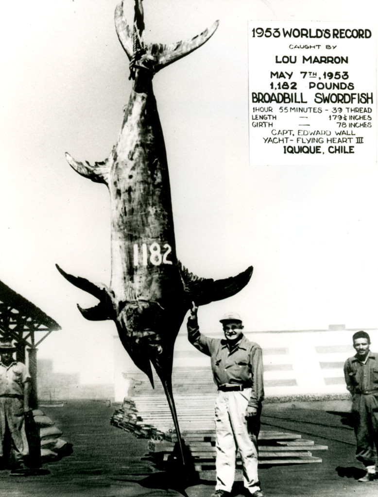 Unbreakable Fishing Records: 15 of the Biggest Fish Ever Caught