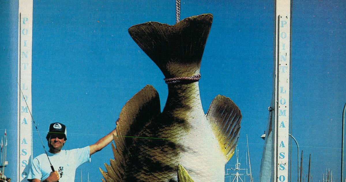 15 Classic Fishing Ads From F&S
