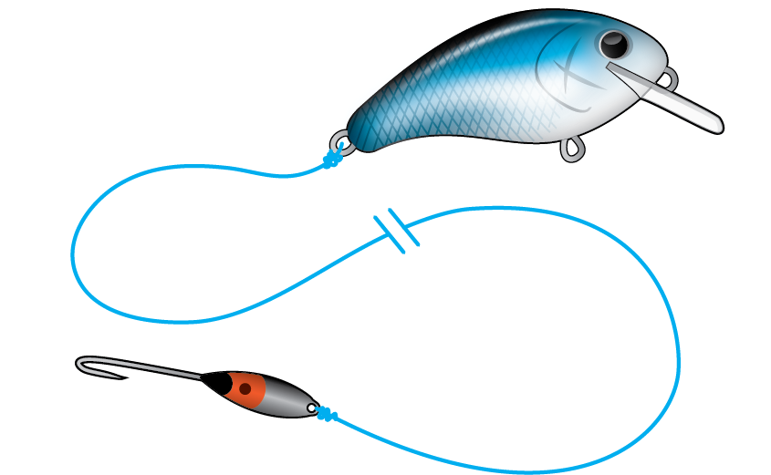 Fishing with Shad Darts for Beginners