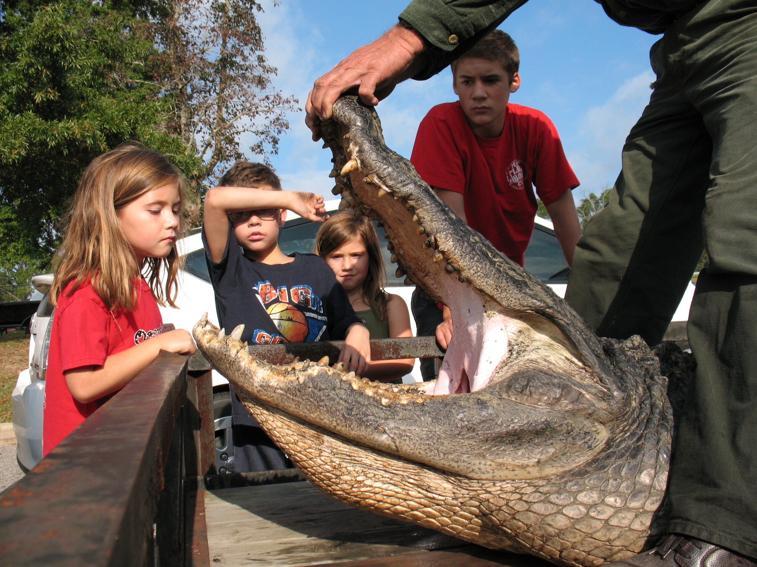 Catching A 13 Foot Alligator In South Carolinas Marion Lake