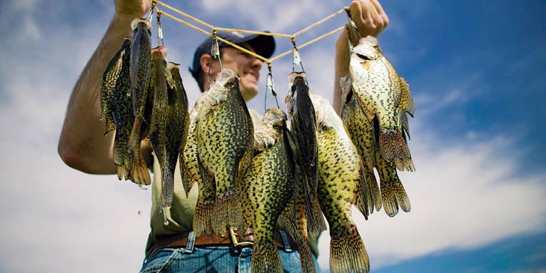 Four Ways to Troll for Trout, Salmon, Crappies, Walleyes, and Northern Pike