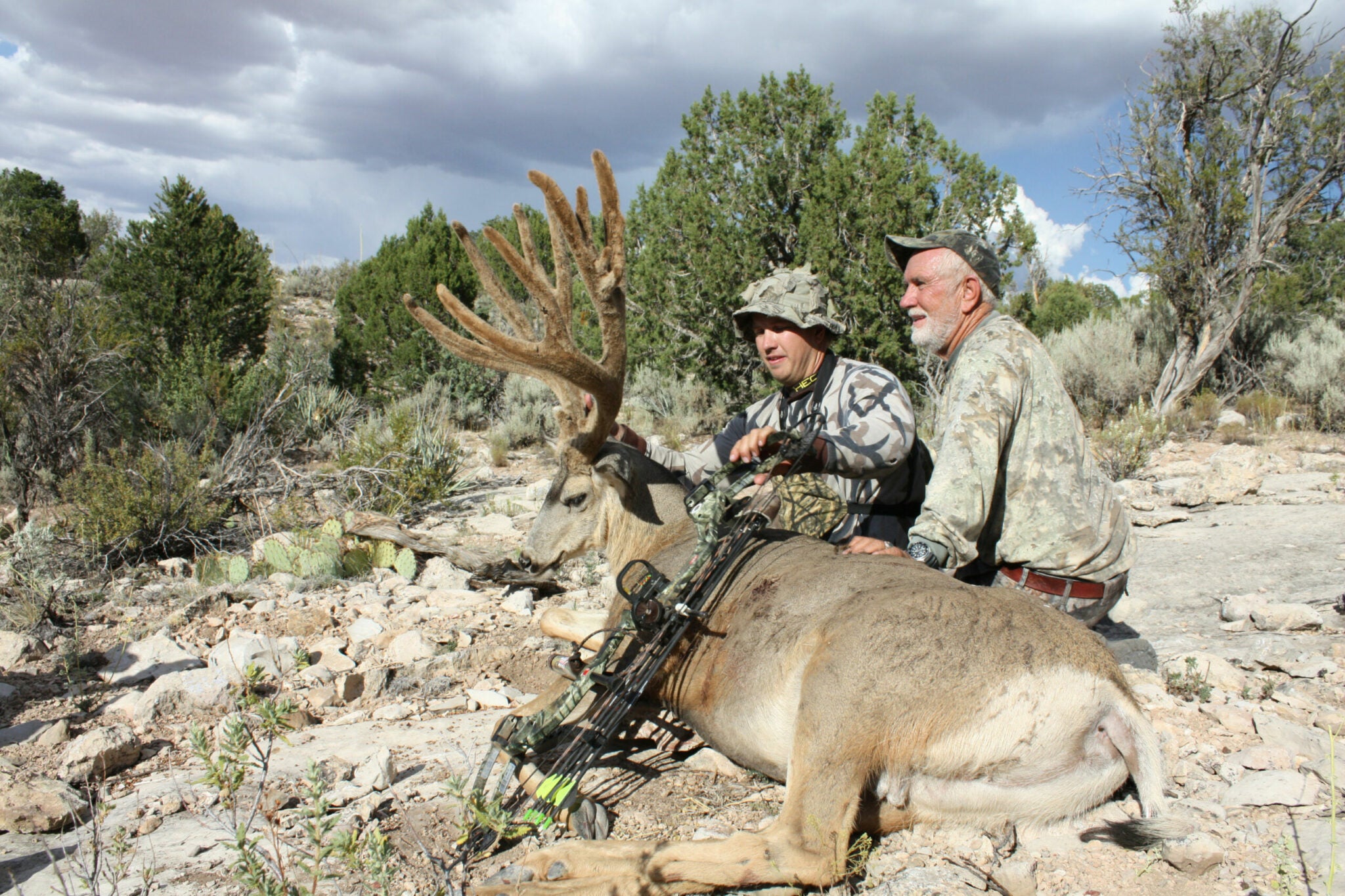 Giant Mule Deer Buck Tagged in Arizona is Pending Typical World Record