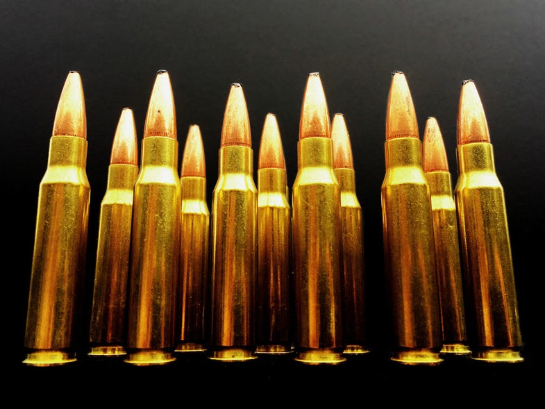 308 Ammunition with projectiles Flat Lay on board surrounded by