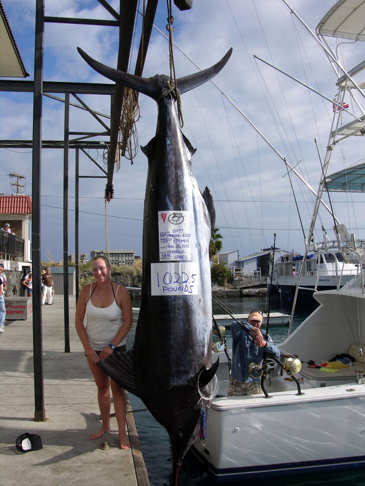 Woman Catches Pound Marlin Could Have Set A World Record