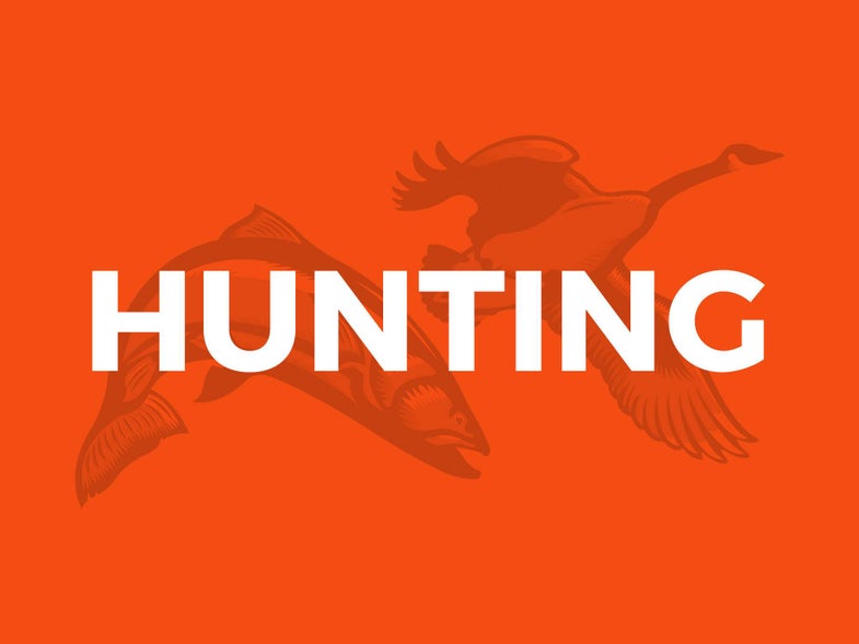 Chad Love: Why Old Hunting Books are Better than New Ones