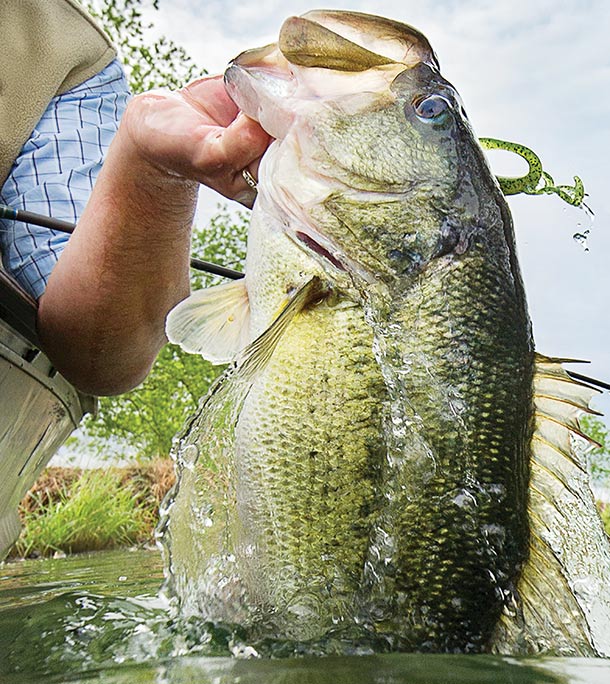 How to Catch Monster Bass on Your Hometown Waters