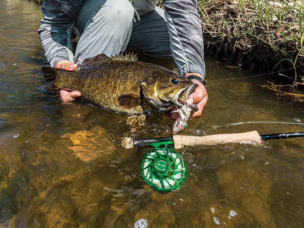 FLY FISHING for BIG River SMALLMOUTH