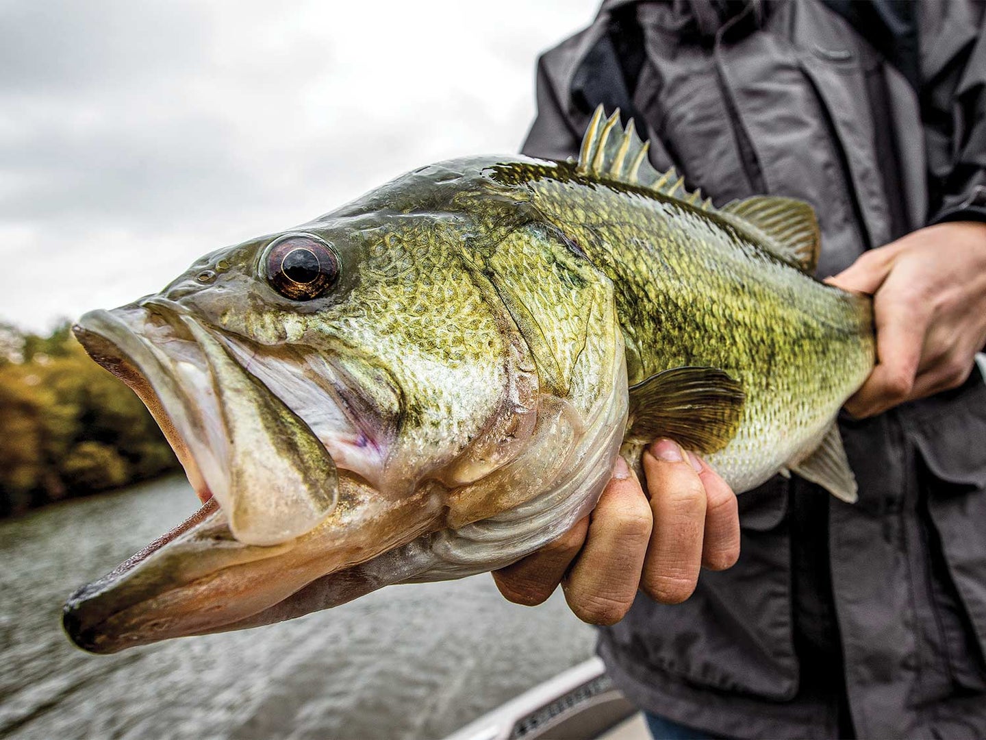 The Best Halibut Lures for Catching Big Fish: A Comprehensive Guide