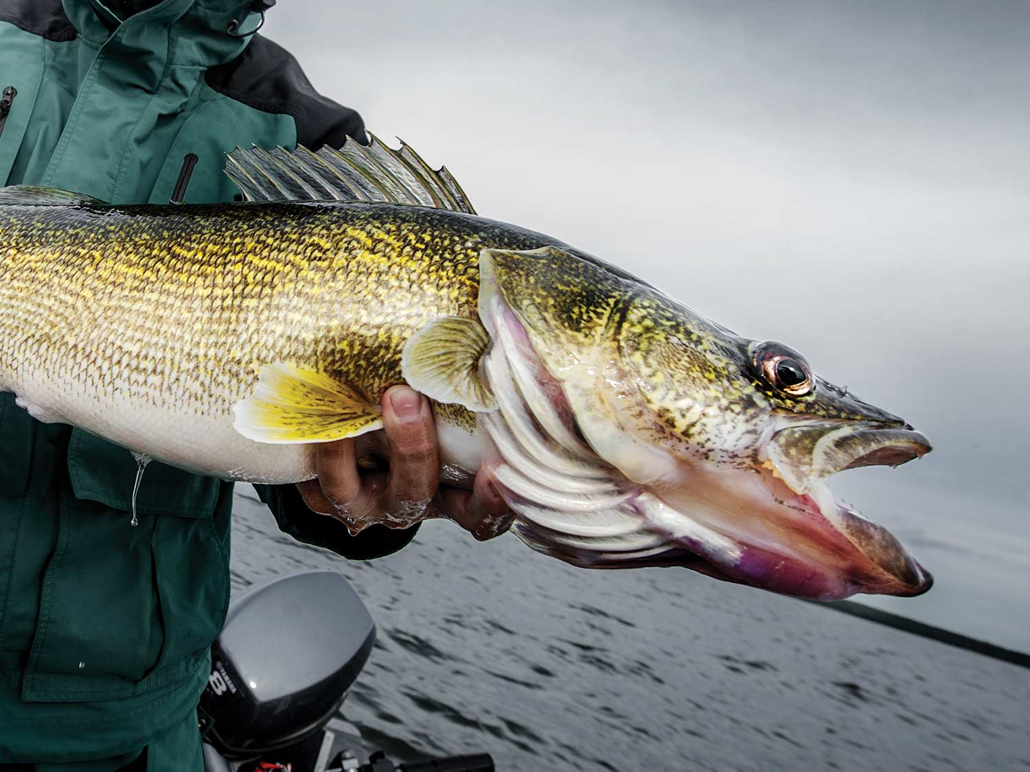 The Best Fishing Line for Walleye in 2022
