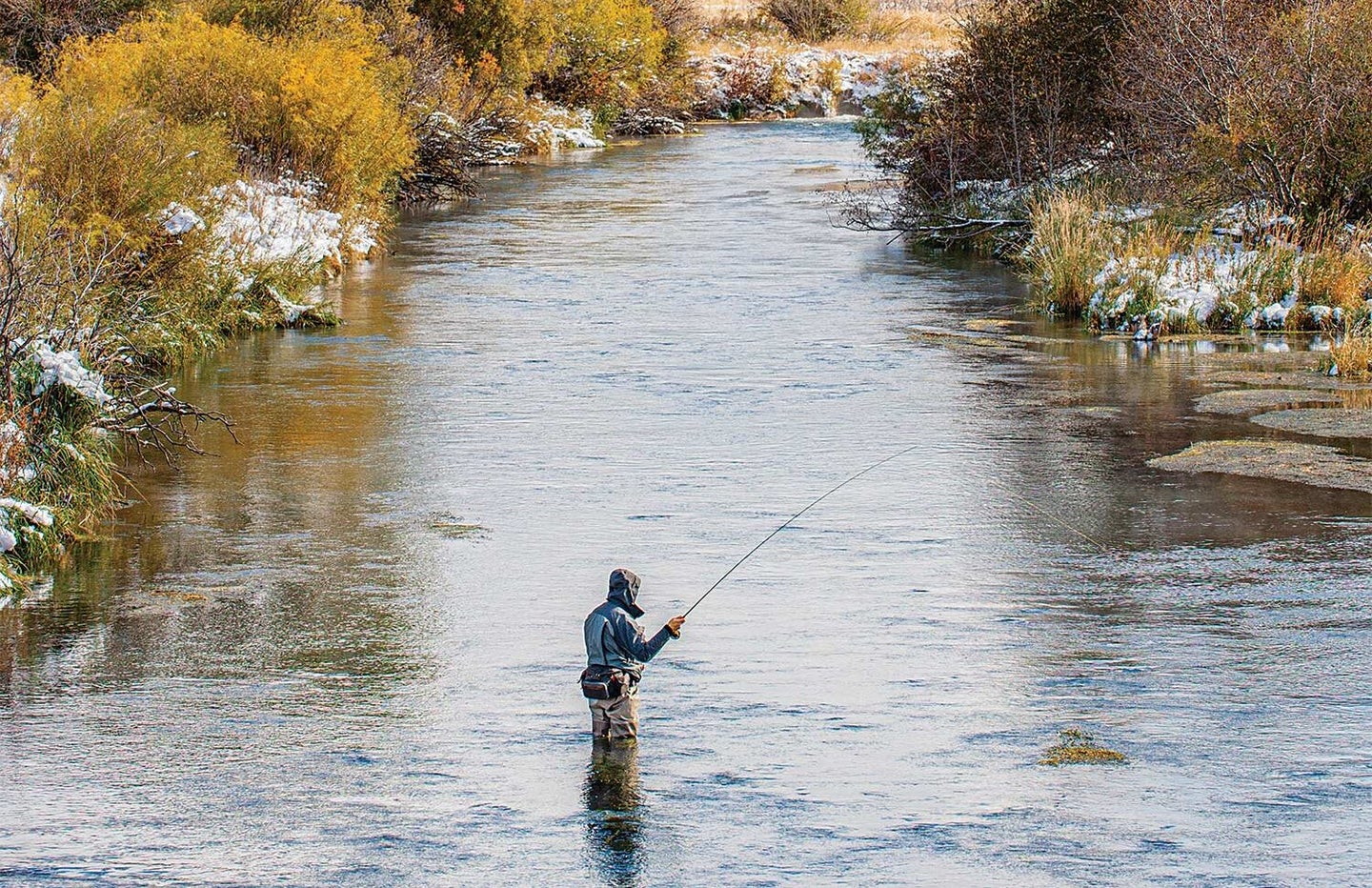 A fly angler fishing for steelhead trout in a stream.
