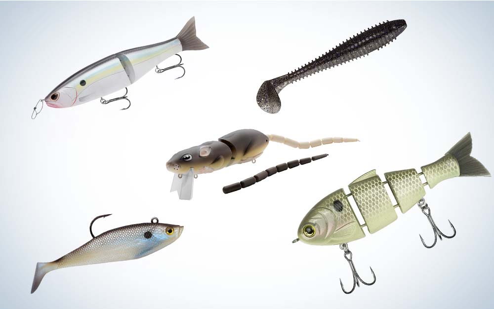 How to Catch Fish YEAR ROUND with Big Swimbaits! (BEST Bait for