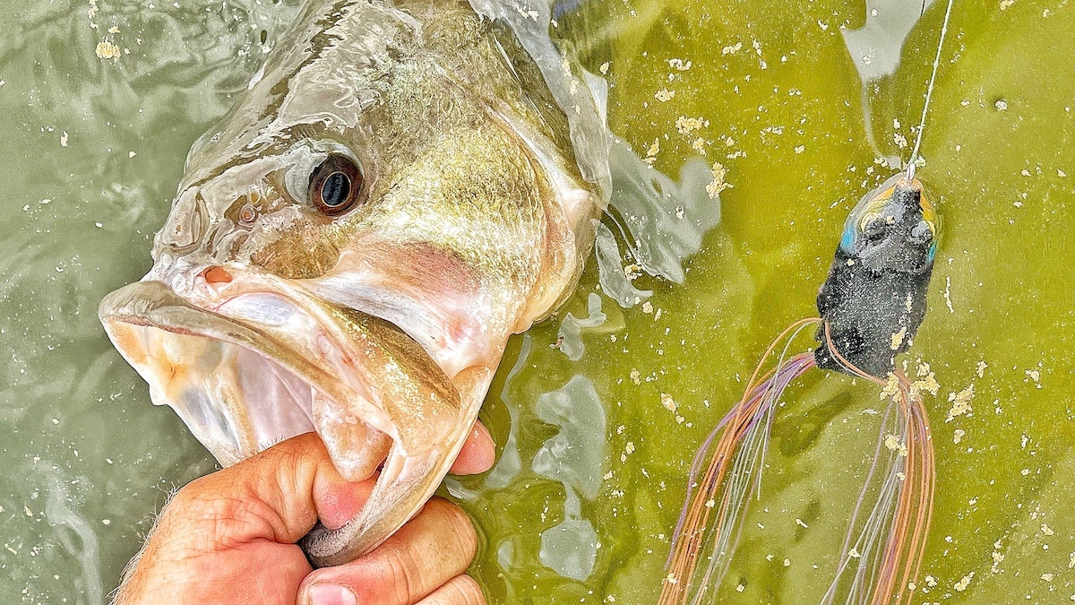 Strategies For Catching Deep Water Bass