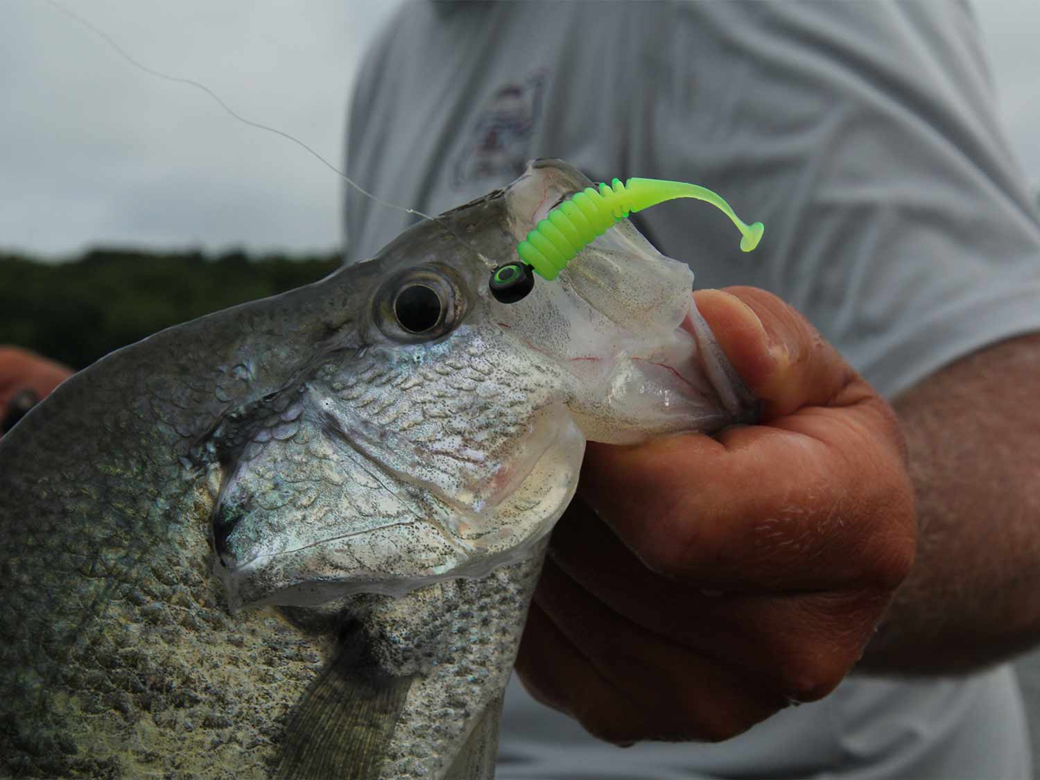 The Perfect Crappie Jig - fishing jig for crappie fishing