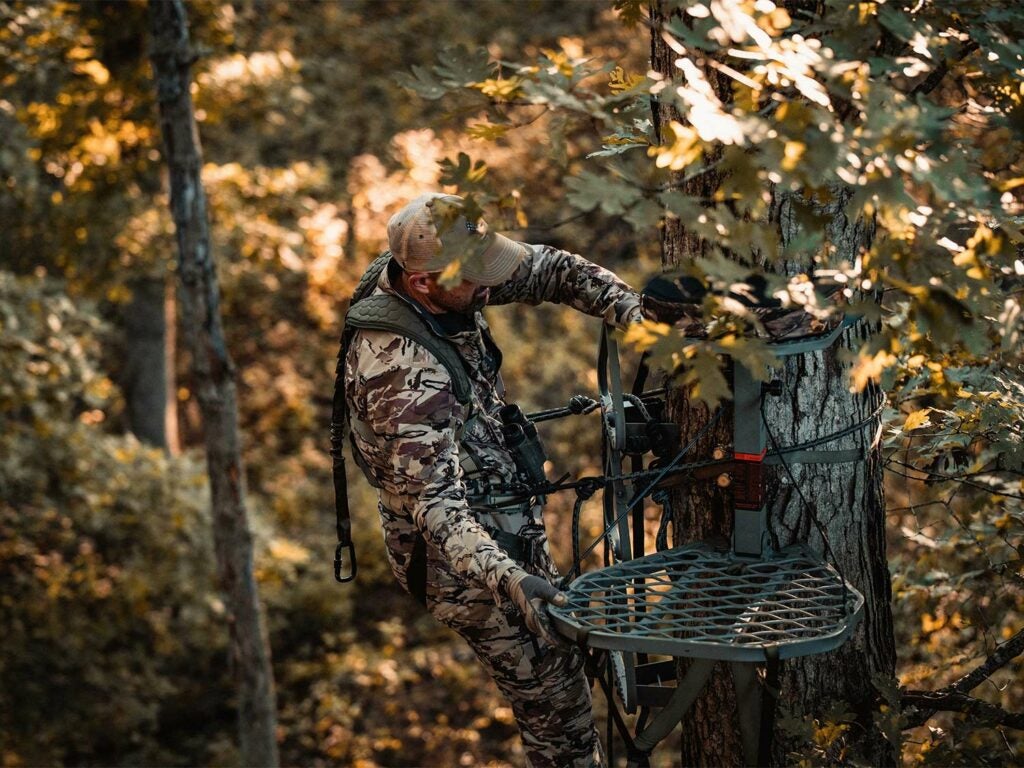 The Complete Guide to Hunting Deer From a Tree Stand | Blade Shopper
