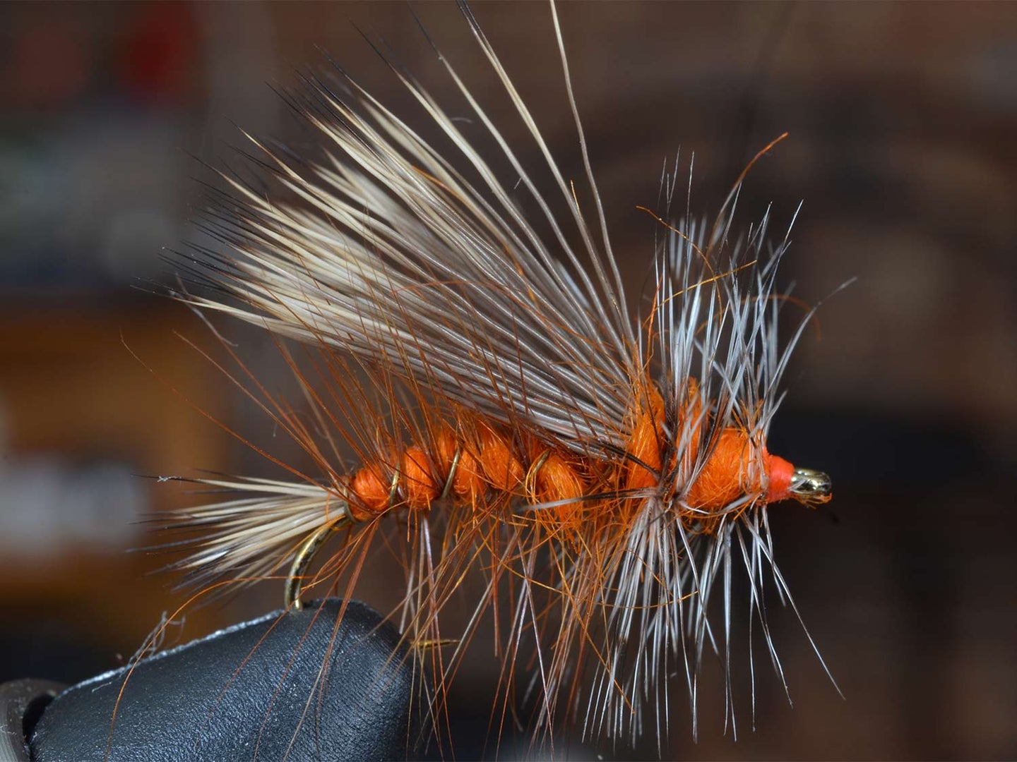 The Orange Woolly Bugger Fly for trout fishing
