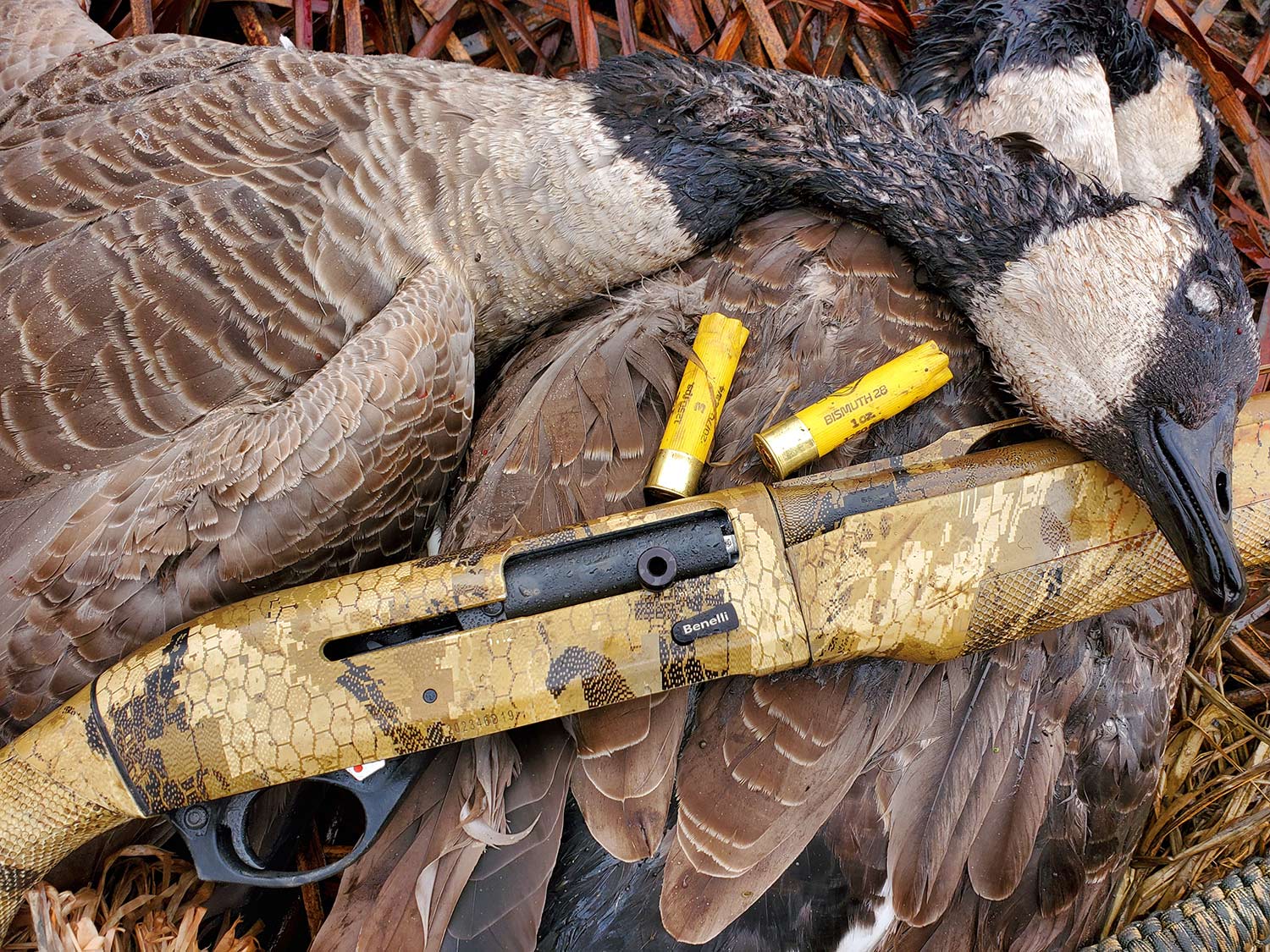 The Best 20-Gauge Shotguns for Hunting Waterfowl | Field & Stream