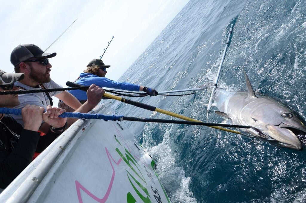 How incredible is this strike 🤯 #tuna #fishing #tunafishing #californ, Flying  Fish