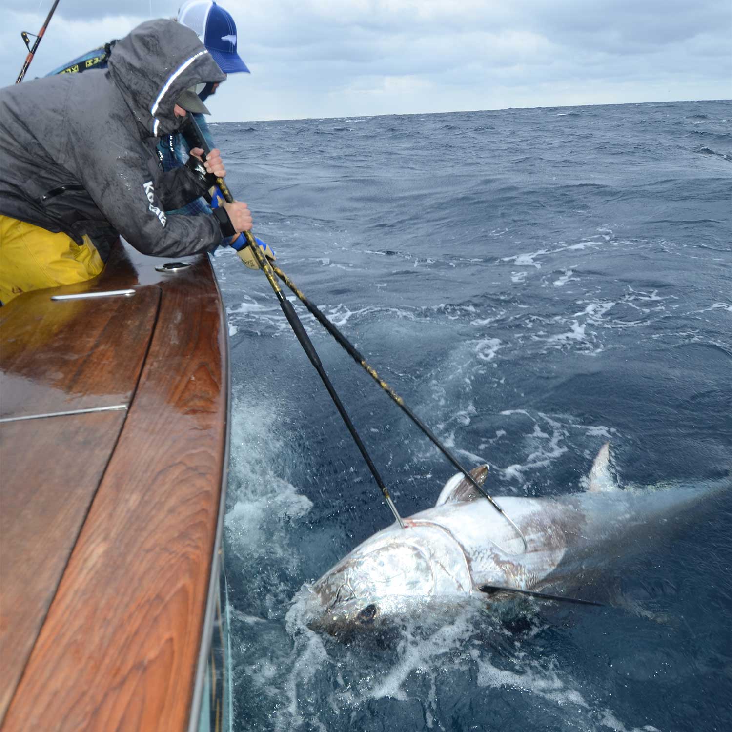 Bluefin tuna: Chasing giants, Fishing
