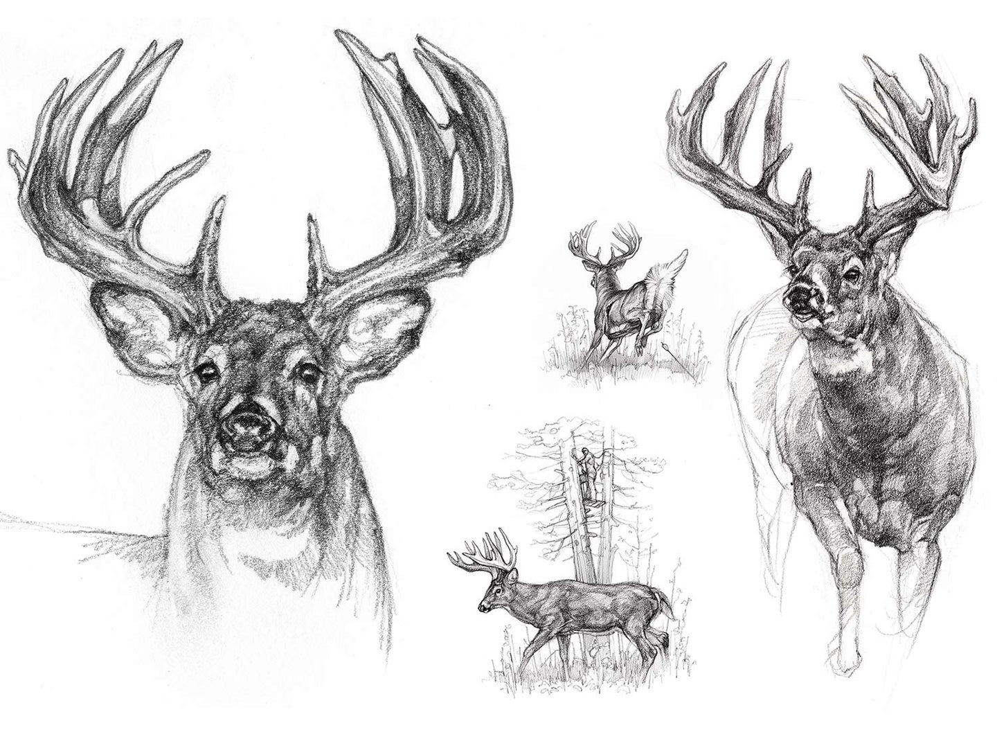 hunting drawings