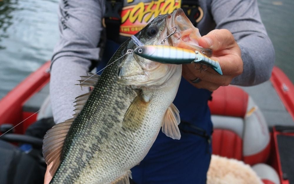 My TOP 3 Jerkbaits  For BASS Fishing 