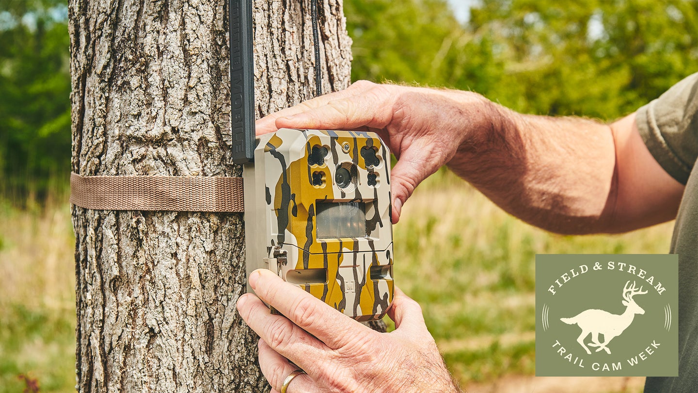 A man's hands set up a Moultrie trail camera on a tree with field in background.