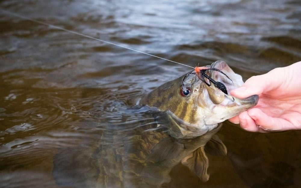 This Will Change the Way You Fly Fish Pressured Waters - Flymen Fishing  Company