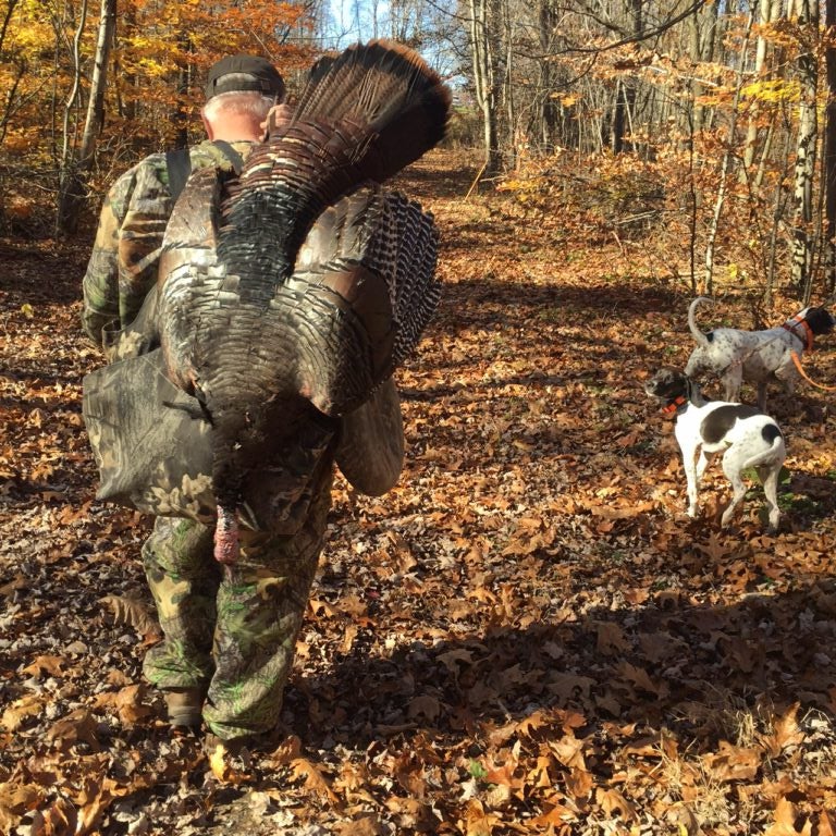 Best Hunting Tips for Fall Turkeys Field & Stream