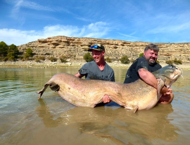 Fisherman Catches Huge 234-Pound Catfish