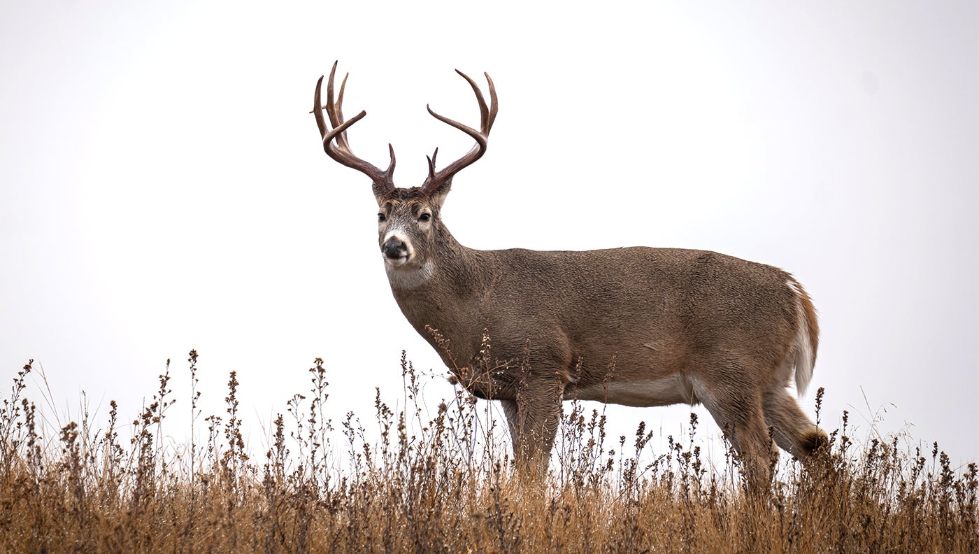 Ultimate Hunting for North American Big Game IV