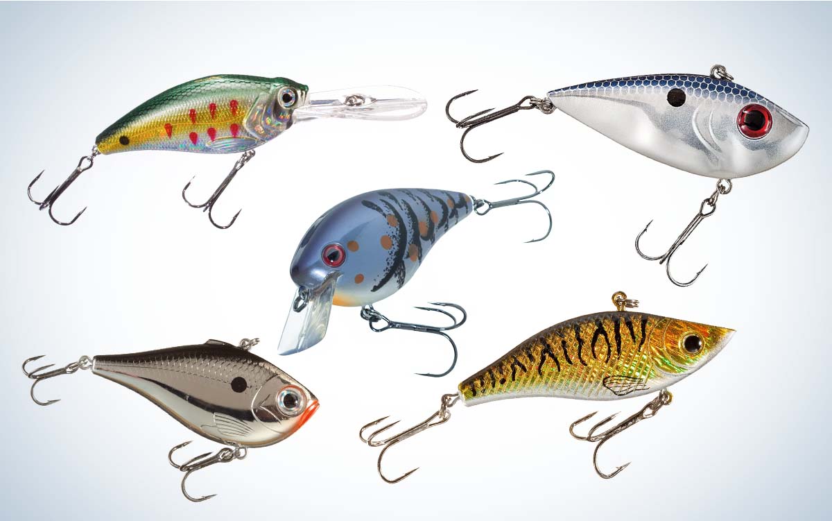 How To Fish A Crankbait For Largemouth Bass With The Best, 59% OFF