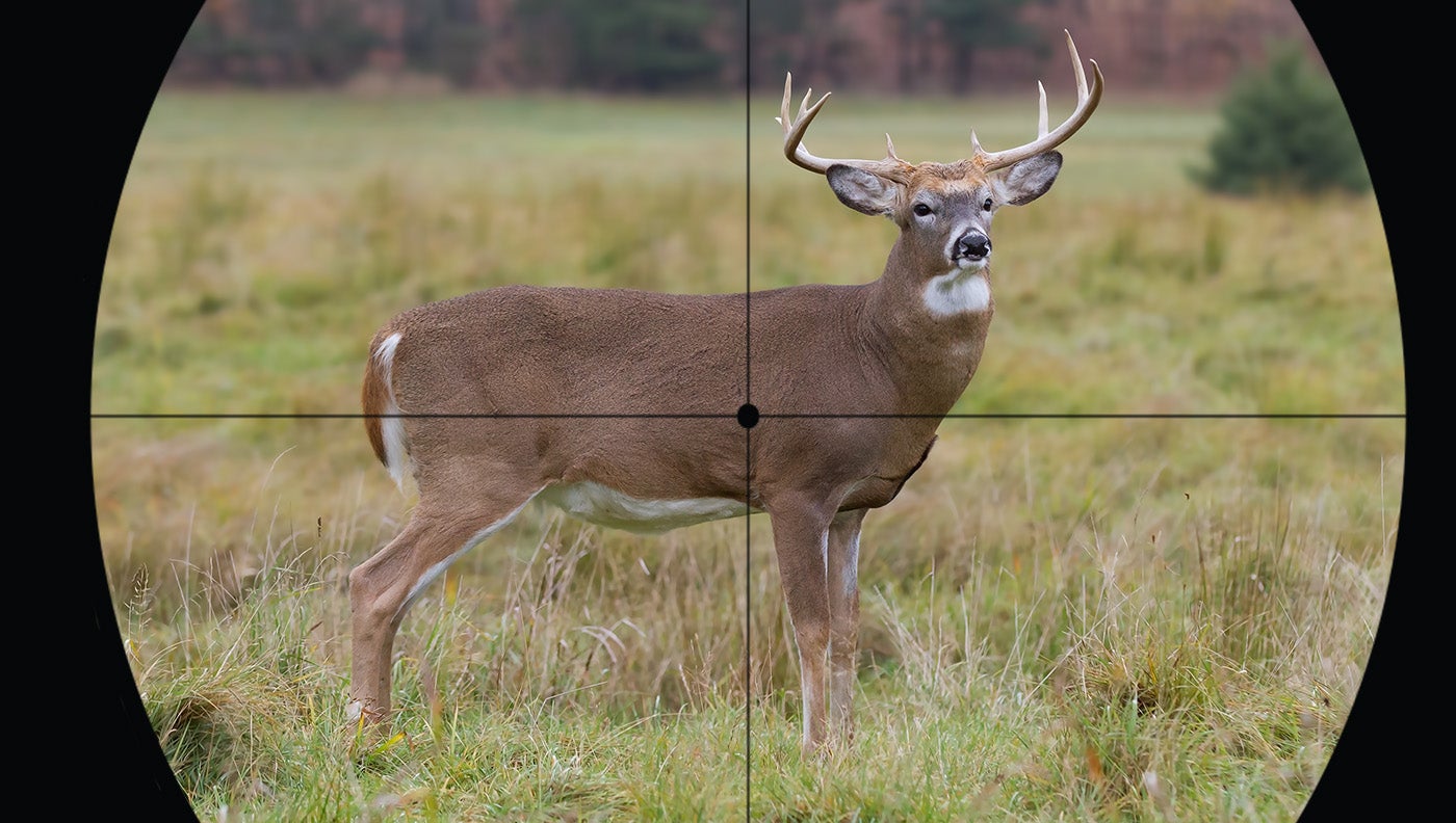 Where to Shoot a Deer With Gun or Bow Field & Stream