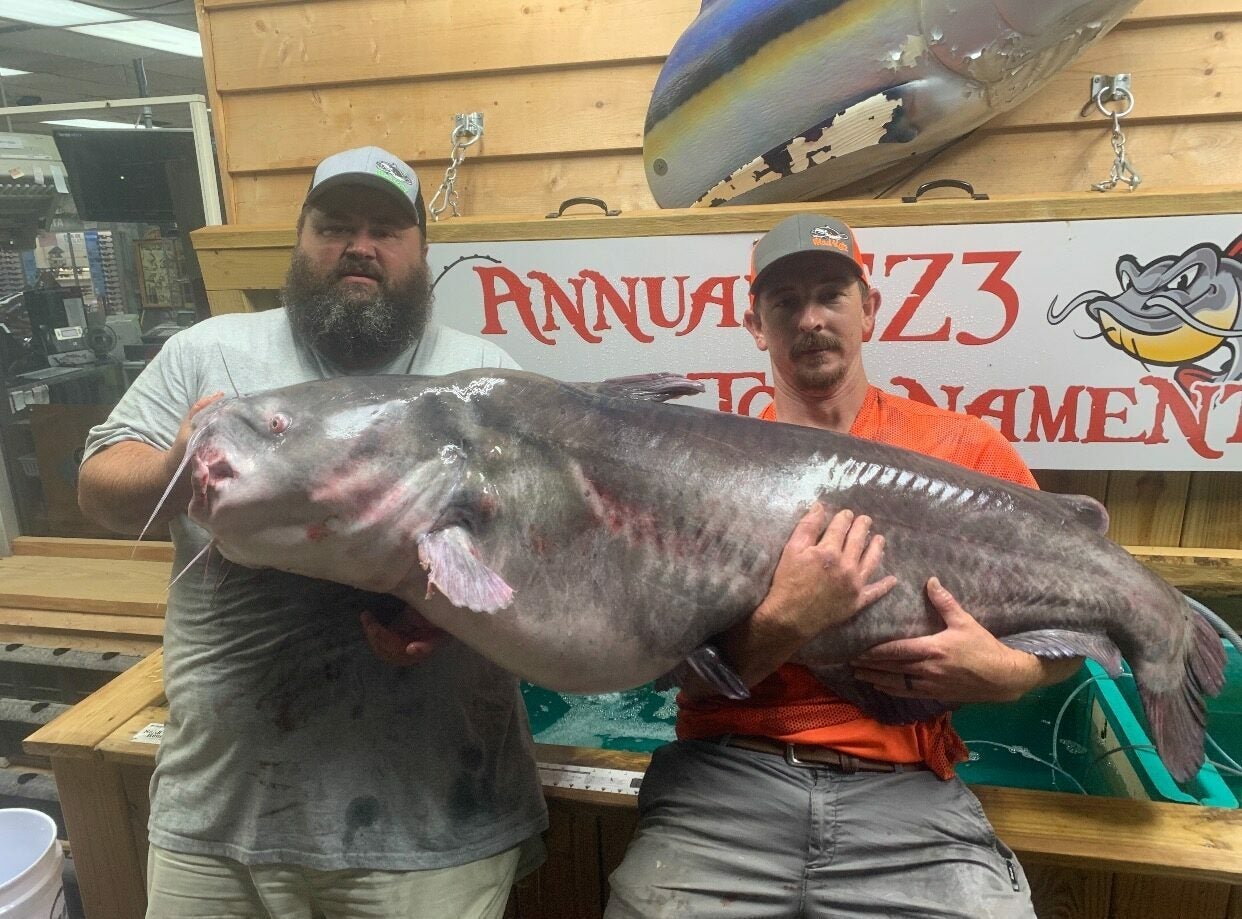 Fisherman snags a 'monster' alligator gar, could set new records