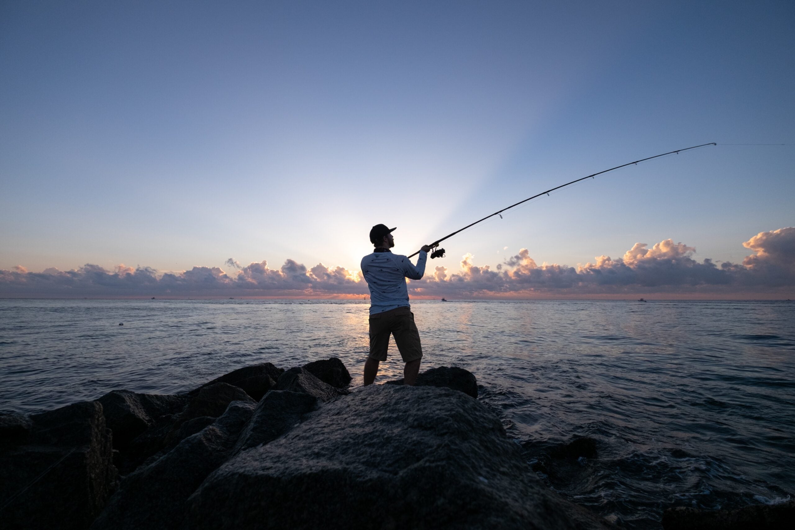 Best Surf Fishing Rods Reviewed: Casting From The Beach In, 50% OFF