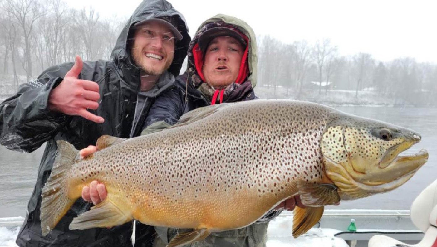 Colorado Angler Lands Huge White River Brown Trout