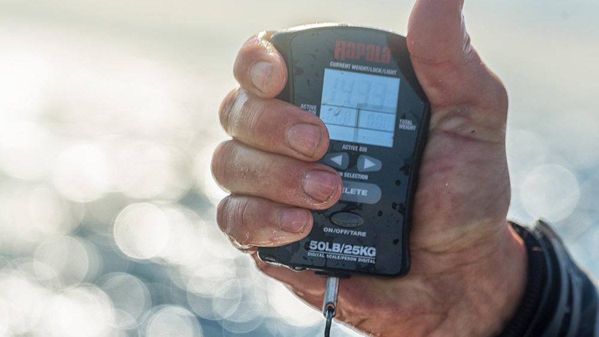 Fishing Scales Digital Waterproof, Waterproof Fish Weighing