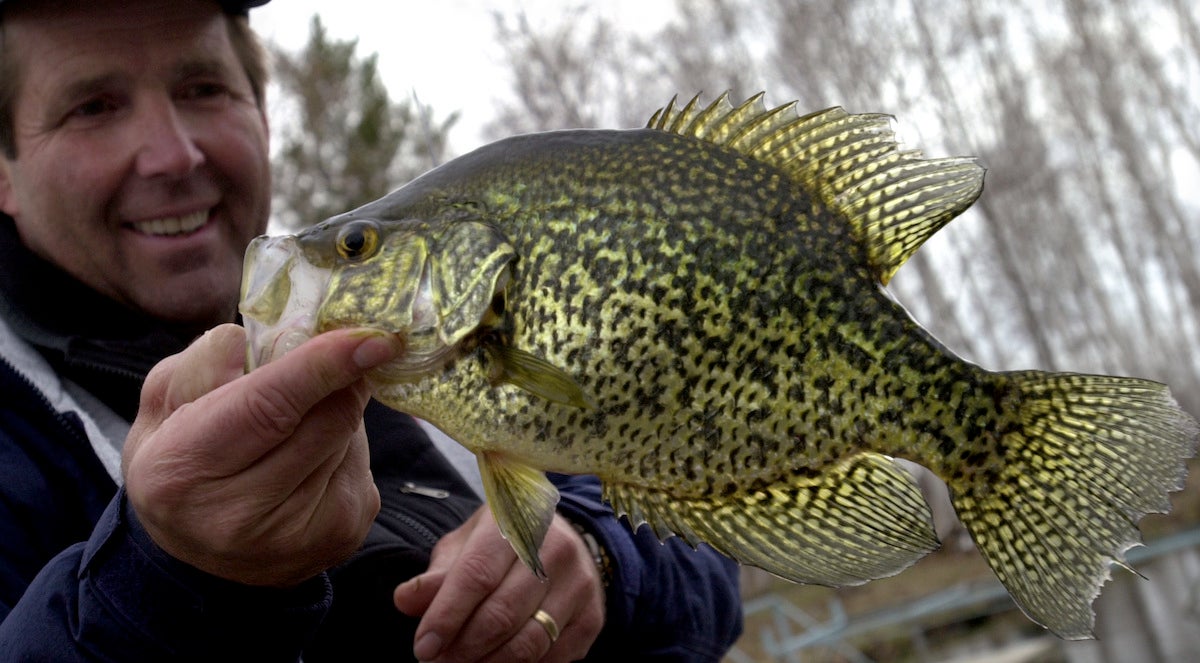 Revealing New SECRET 6th Sense Products! Crappie Baits, Finesse Jigs, &  MORE! 