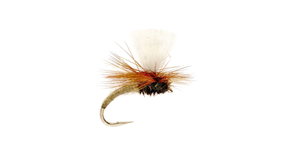 F&S Fly of The Week: The Klinkhamer Special | Field & Stream