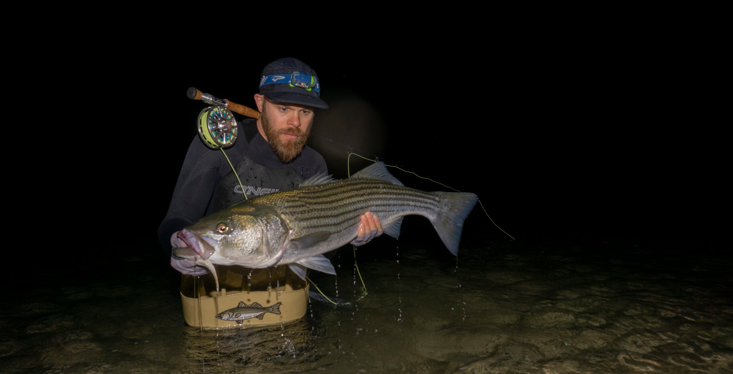 Beginners Guide to Fly Fishing For Striped Bass