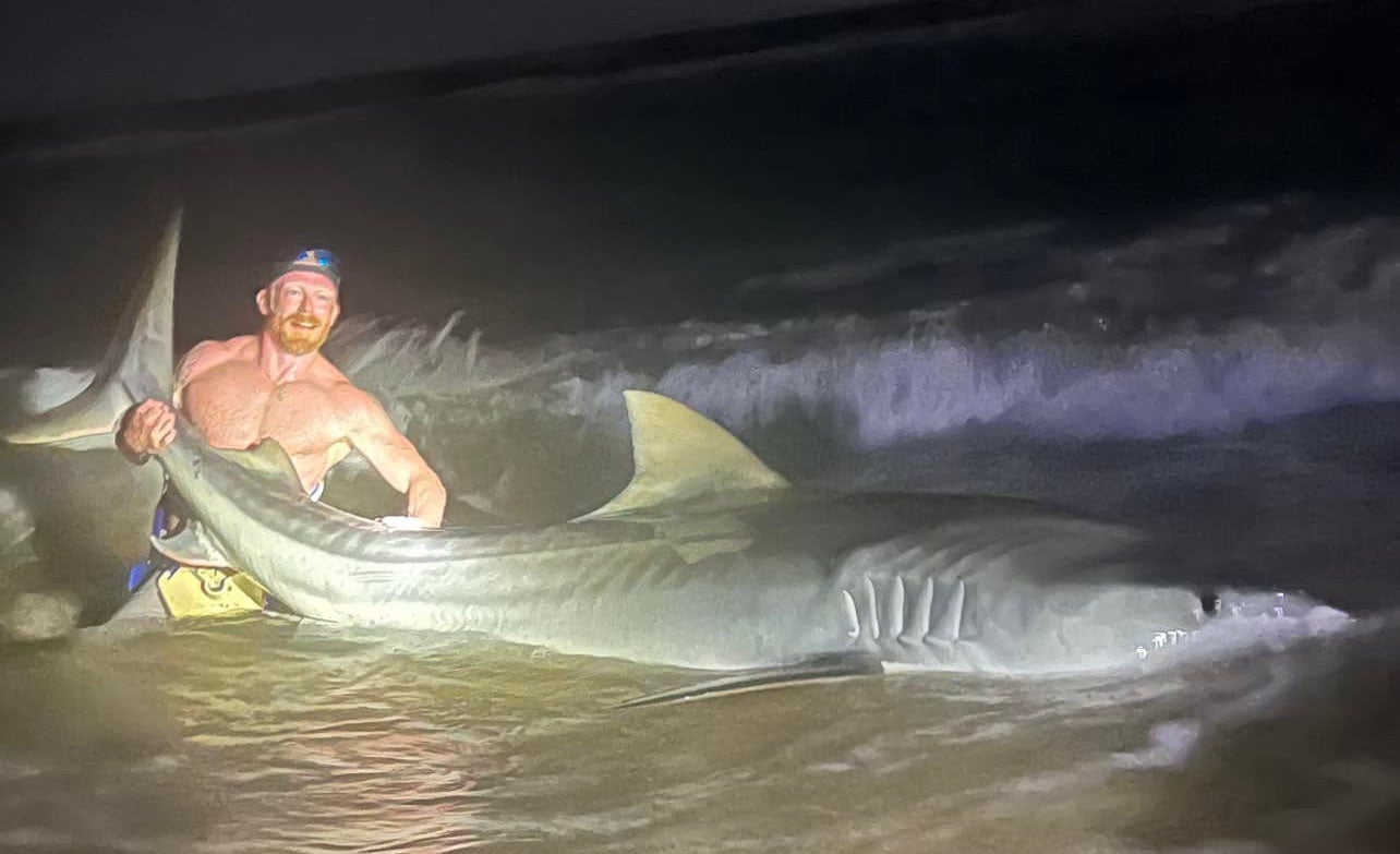 Texas Fisherman Beaches Giant Tiger Shark