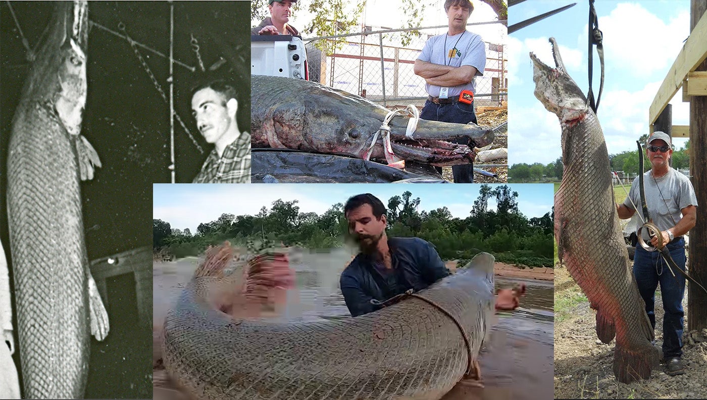 Everyone should watch this Fishermen's video - Amazing Automatic Net  Fishing Line Catching Big Fish 